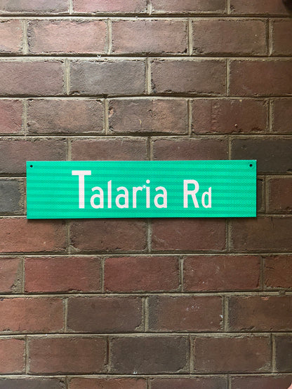 Custom Reflective Street Sign – Happy Camper Edition